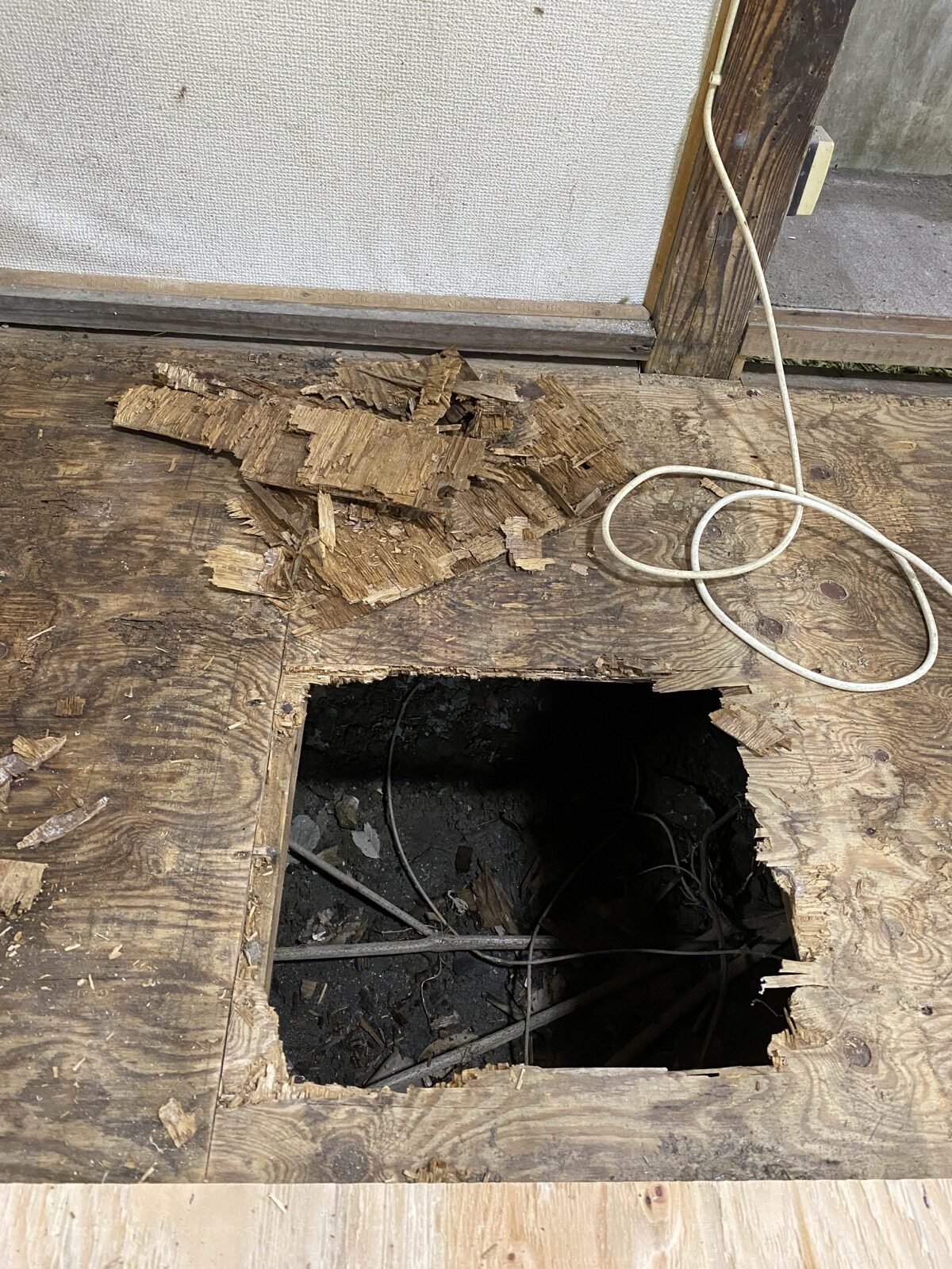 床に一部穴を開けて床下を確認